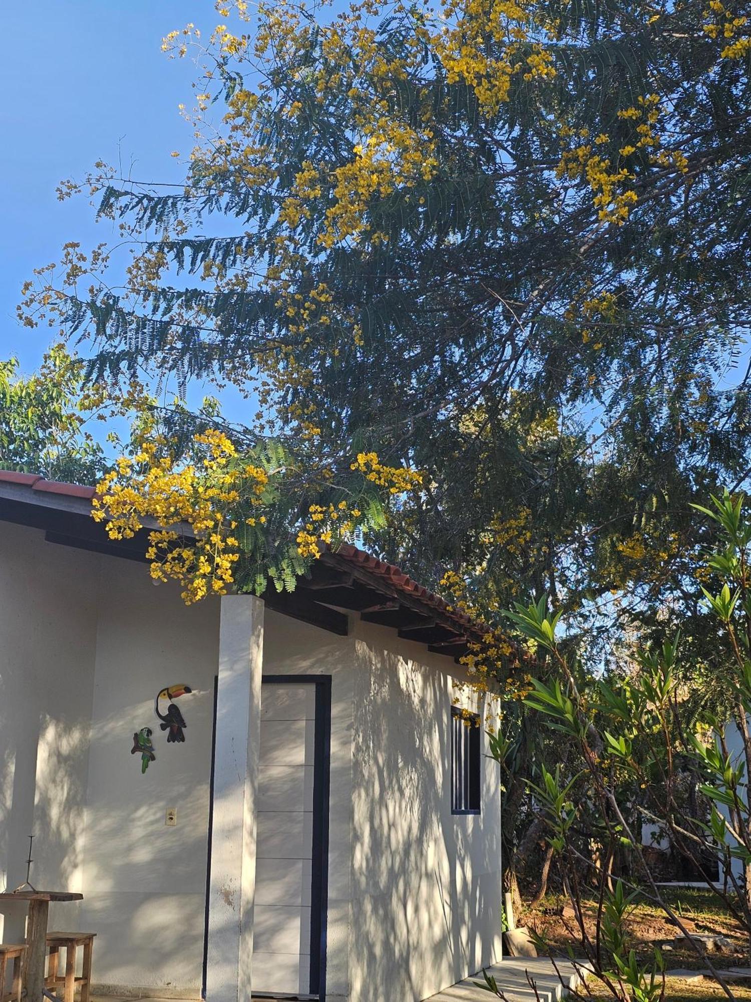 Estancia Morro Do Frota Pirenópolis Exterior foto
